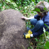 WILLIAM & EMMA SERCOMBE HEADSTONE