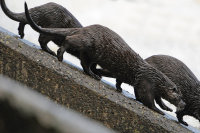 Otters