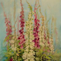 Foxgloves