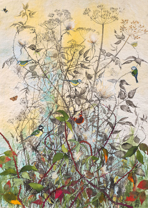 Understory, 2024
