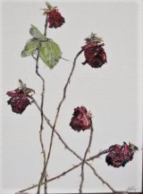 Dried red roses