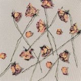 Scattered Sunset Roses