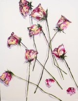 Scattered pink roses