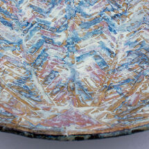 Herringbone Seashell (close up)