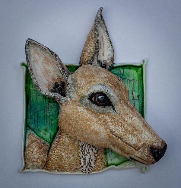 Doe