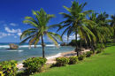 Bathsheba