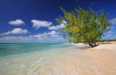 White Sands