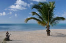 Caribbean Calm