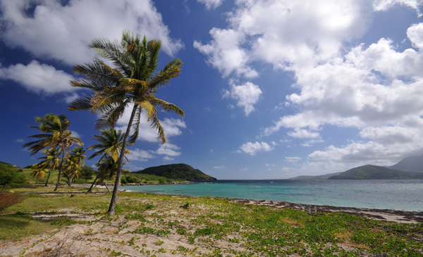 Caribbean Skies