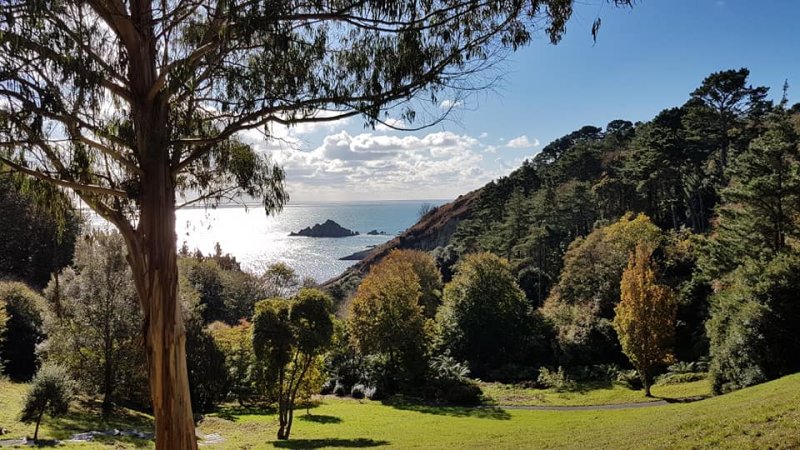 Coleton Fishacre