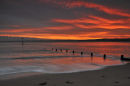 Devon Skies