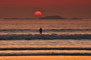 Solitary Swimmer