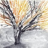 Beech Series (1) - SOLD