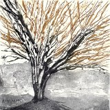 Beech Series (4)