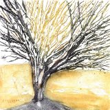 Beech Series (5) - SOLD