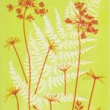 Umbellifer & Fern 1
