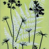 Umbellifer & Fern 2 - SOLD