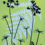 Umbellifer & Fern 3 - SOLD