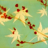 Grass & Acer 1