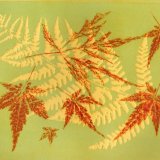 Falling into Autumn