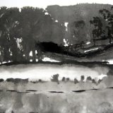 Trees on the Hillside