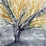Beech Series (2) - SOLD