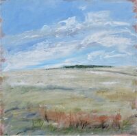 White barrow Field 80x80x4 cm. acrylic