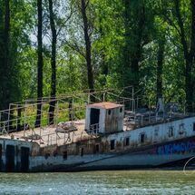 22.  The Delta wreck