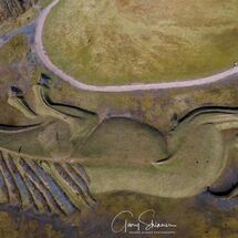 26. Parc Penallta Pony
