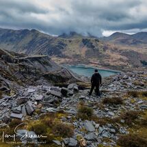 30. Quarry Watcher