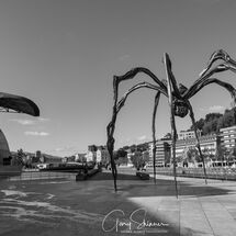 41. Bilbao Spider