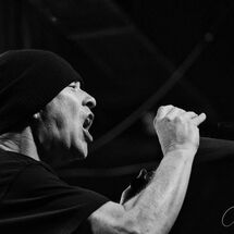 42. Mark Hockings -  Mesh Band (Bristol 2026)