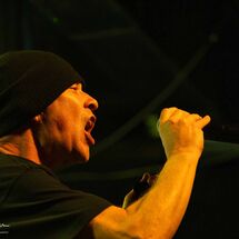 43. Mark Hockings -  Mesh Band (Bristol 2026)