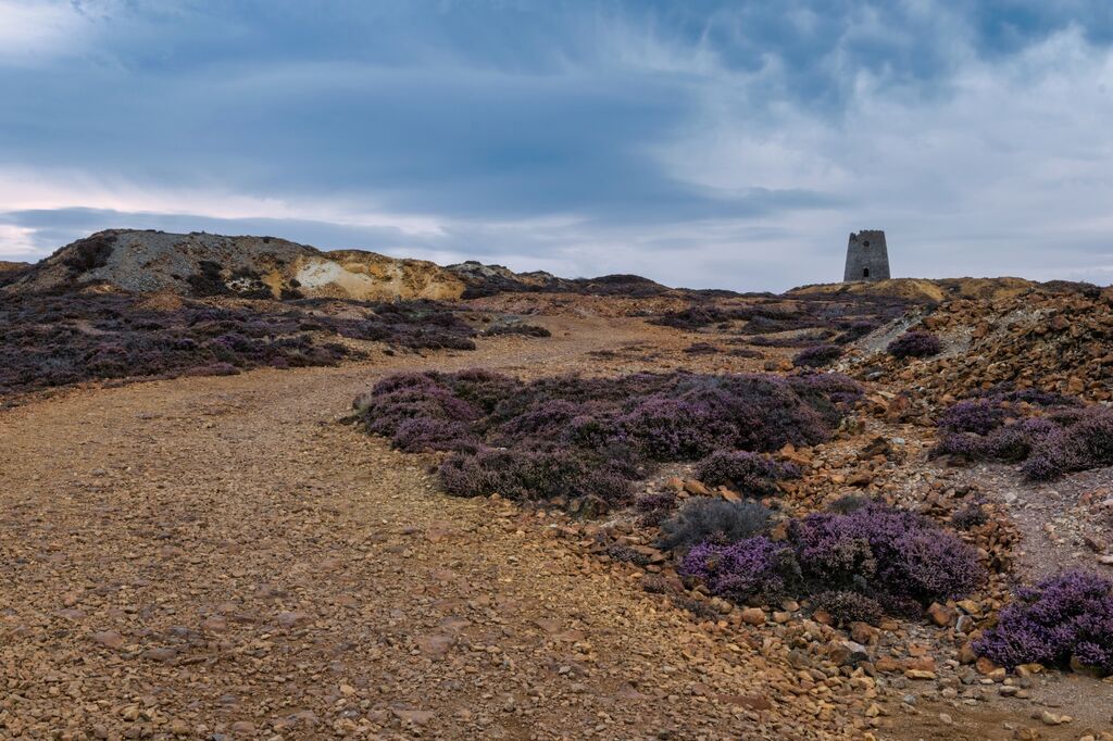 50. NW2026 Day 3 - Heather at Parys Quarry