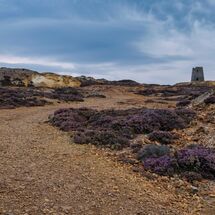 50. NW2026 Day 3 - Heather at Parys Quarry