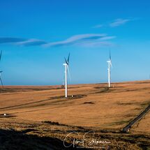 55. Wind Farm with Lenticular Clouds