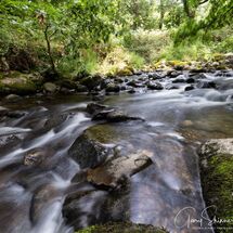 60. NW2026 Day 3 - Afon Rhaeadr Fawr
