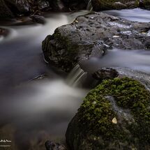64. NW2026 Day 3 - Afon Rhaeadr Fawr