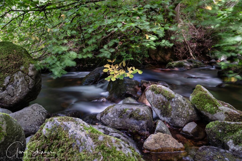 65. NW2026 Day 3 - Afon Rhaeadr Fawr