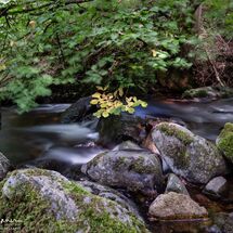 65. NW2026 Day 3 - Afon Rhaeadr Fawr