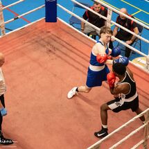 Amateur Welsh Boxing Championships - 2026#229
