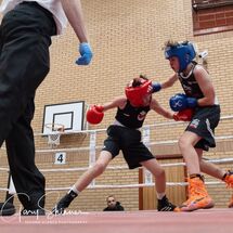 Amateur Welsh Boxing Championships - 2026#98