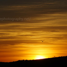 Sosban (Llanelli) Sunset images 2015