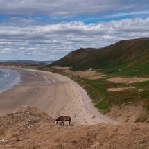 Rhossilli Beach