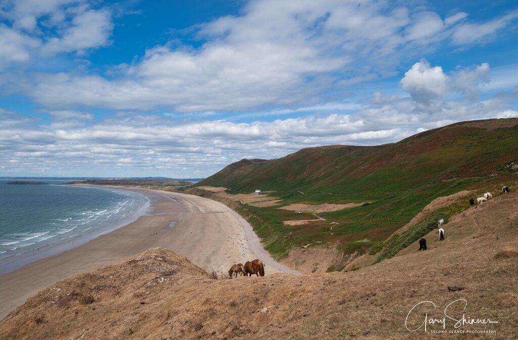 Rhossilli Horses