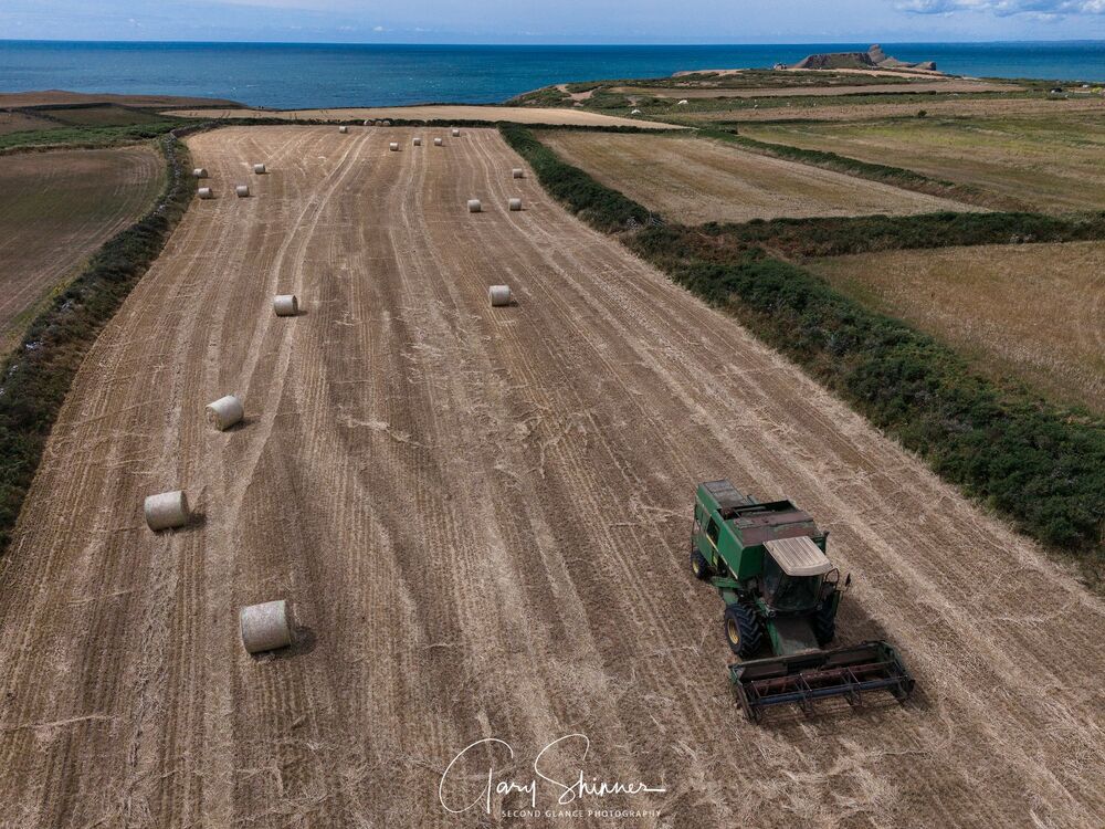 Waiting for the next field