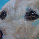 Labrador Acrylic Painting