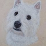 Westie Acrylic Portrait