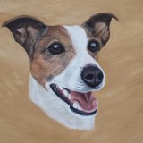 Jack Russell Acrylic Painting