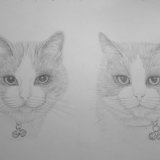 Cats Pencil Portrait